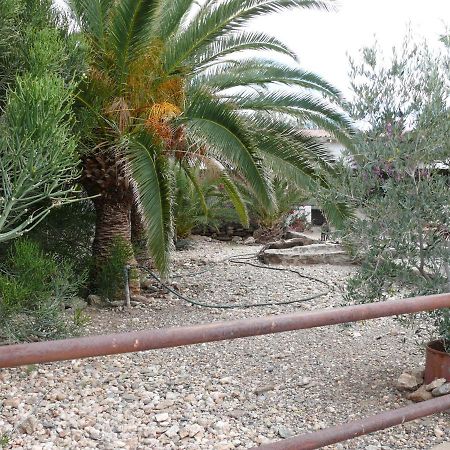Rooiklip Camp Flintstone Apartment ภายนอก รูปภาพ